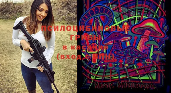 мдпв Абинск