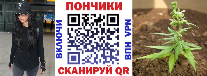 Шишки марихуана ГИДРОПОН  Шарыпово 